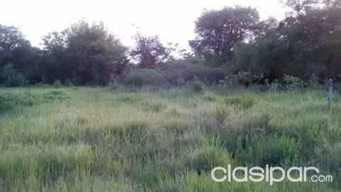 TERRENO DE 1000 METROS CUADRADOS EN LUQUE — foto 2