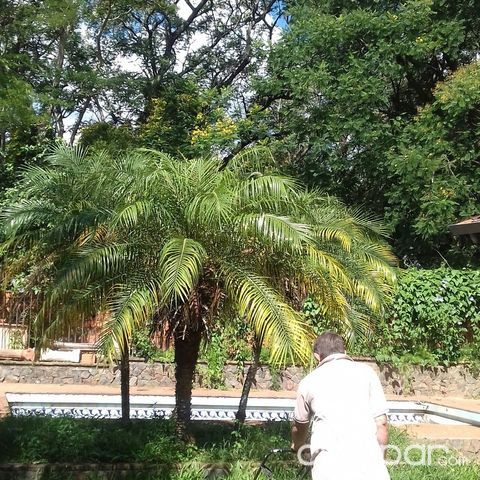 HERMOSA CASA EN LUQUE — foto 2
