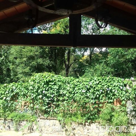 HERMOSA CASA EN LUQUE — foto 3