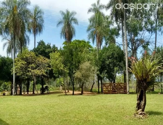 VENDO QUINTA EN YPACARAI. 5,5 HECTAREAS — foto 2