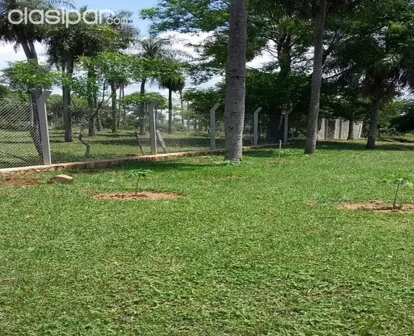 VENDO QUINTA EN YPACARAI. 5,5 HECTAREAS — foto 3