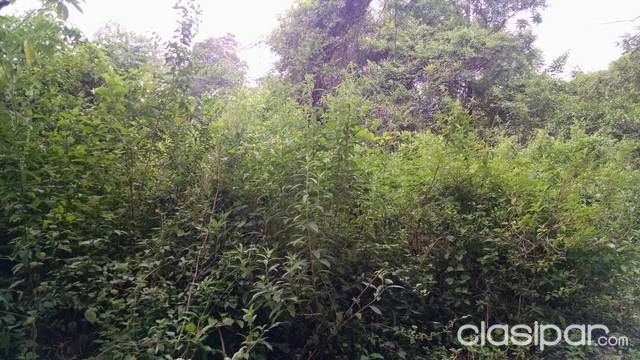 Terreno en Luque — foto 2