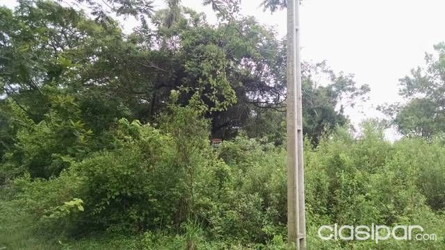 Terreno en Luque — foto 3