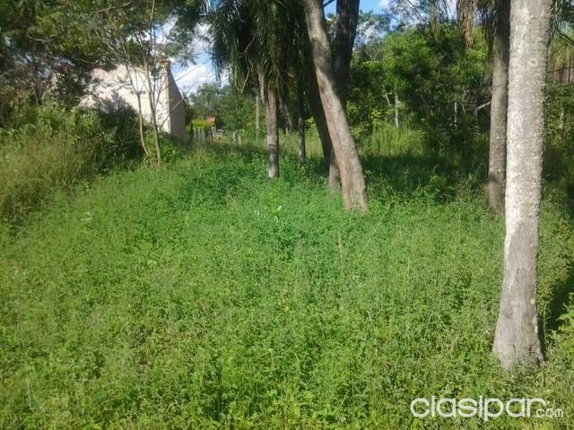 RESPIRAR AIRE PURO DISFRUTANDO DE BELLA VISTA — foto 3