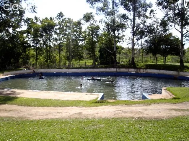 Vendo Terreno de 10 ha sobre ruta internacional n° 7 Minga Guazu — foto 2