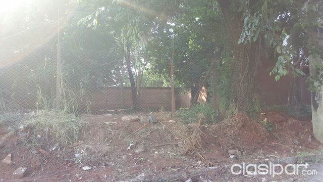 INVERSIÓN SEGURA Terreno 20x25 a una cuadra de boggiani — foto 2