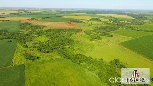 Propriedade de 77 Hectareas para Venda — foto 2