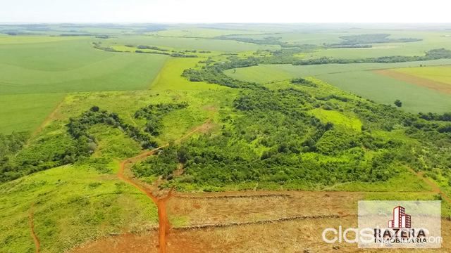 Propriedade de 77 Hectareas para Venda — foto 3