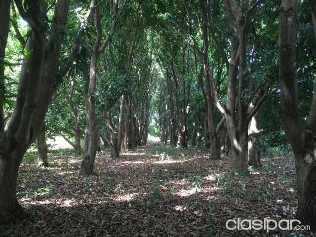 venta de propiedad en yaguaron — foto 3