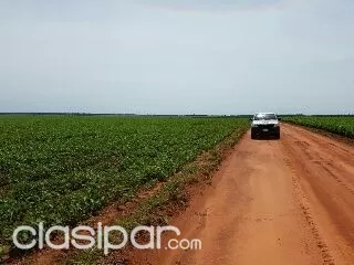 VENDO 400 HAS AGRÍCOLAS MECANIZADA EN SAN PEDRO EN CERCANÍAS DEL ASFALTO — foto 2