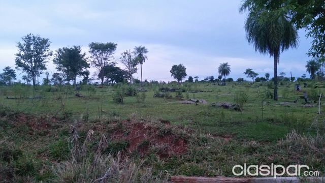 OFERTO ESPECTACULAR TERRENO 1010 Has. EN CURUGUATY — foto 3