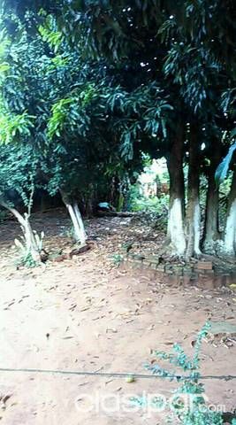 Vendo una casa — foto 3