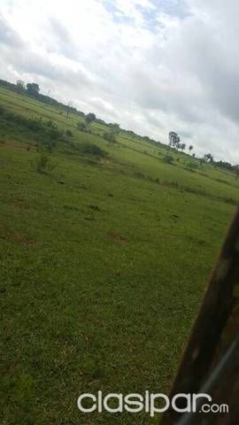 Venta de una propiedad de 200htrs — foto 2