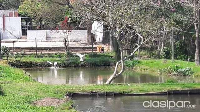 VENDO GRANJA EN YAGUARON!! — foto 2