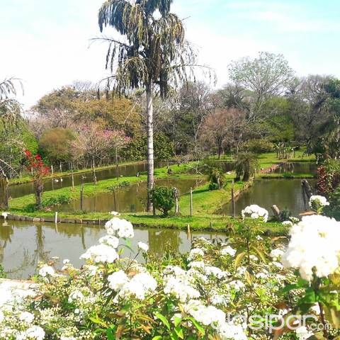 VENDO GRANJA EN YAGUARON!! — foto 3