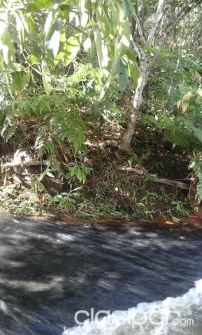 vendo hermosa propiedad con arroyo en piribebuy — foto 3