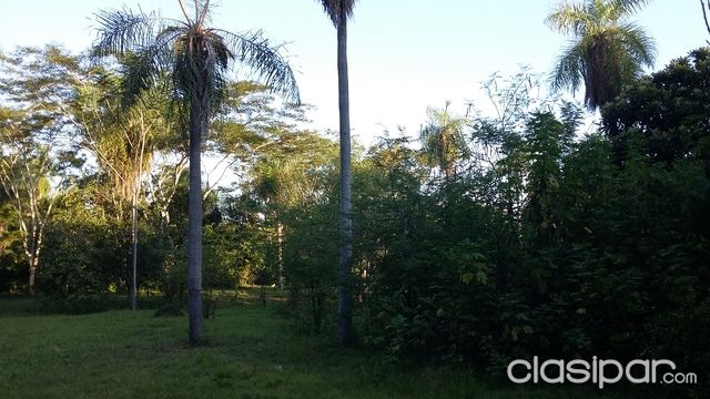 Terreno ideal para su casa quinta! — foto 2