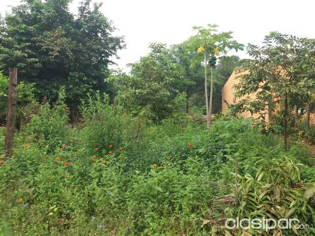 VENDO TERRENO EN THOMSON ZONA SAN SEBASTIAN — foto 3