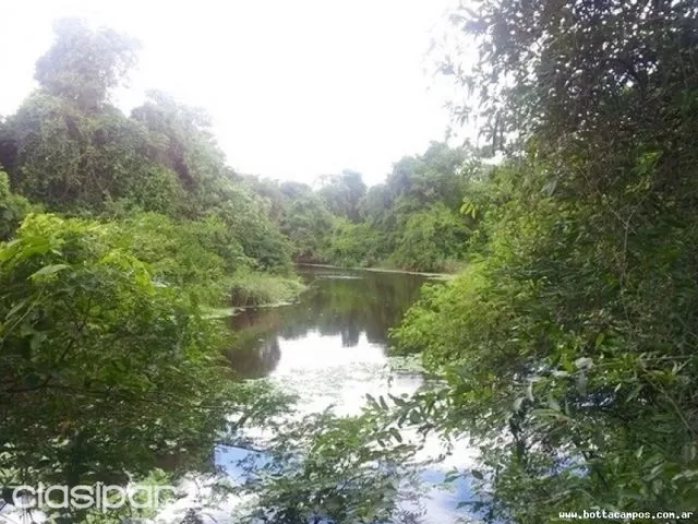 REMATO PROPIEDAD EN EL CHACO-4800 Ha — foto 2