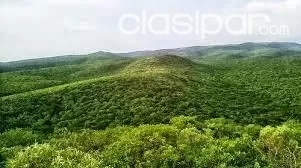 REMATO PROPIEDAD EN EL CHACO-4800 Ha — foto 3