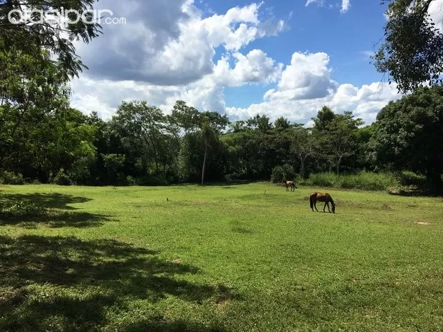 Propietarios venden hermosa quinta con vista al lago Ypacarai — foto 3
