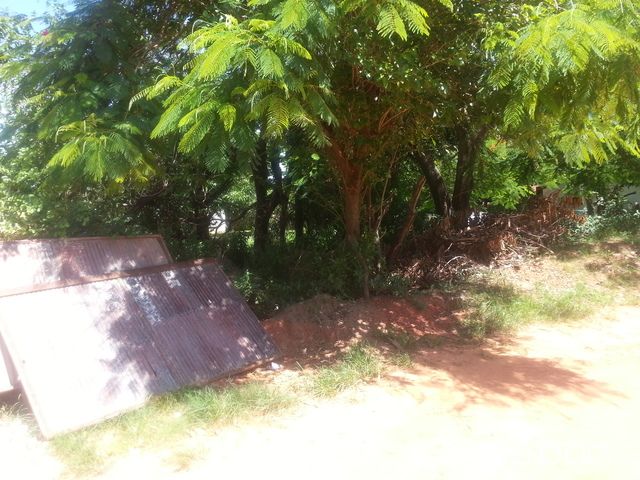 terreno juntos en limpio a 1 cuadra de la ruta limpio luque — foto 3