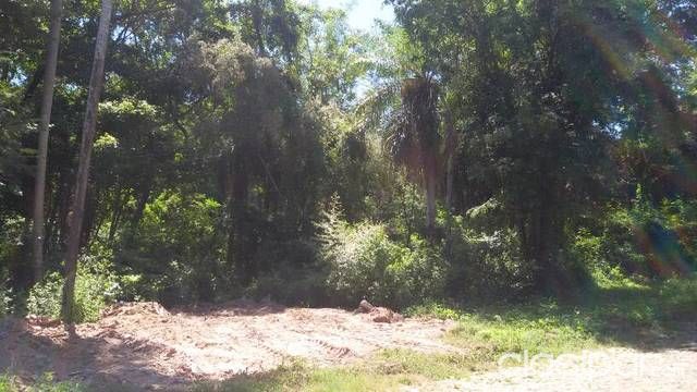 Vendo Terreno en San Bernardino — foto 3