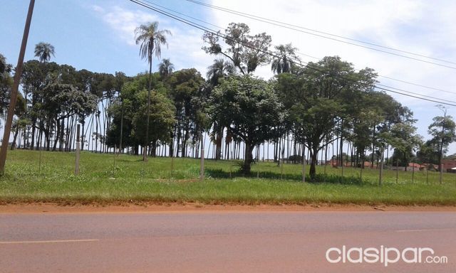 PROPIEDAD EN CDE — foto 3