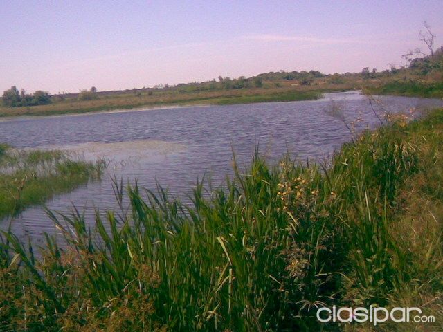 205 HAS SOBRE RUTA EN CORONEL BOGADO - ITAPÚA — foto 2