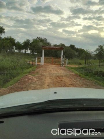 Casa Quinta, Granja en La Colmena 20 hectáreas — foto 2