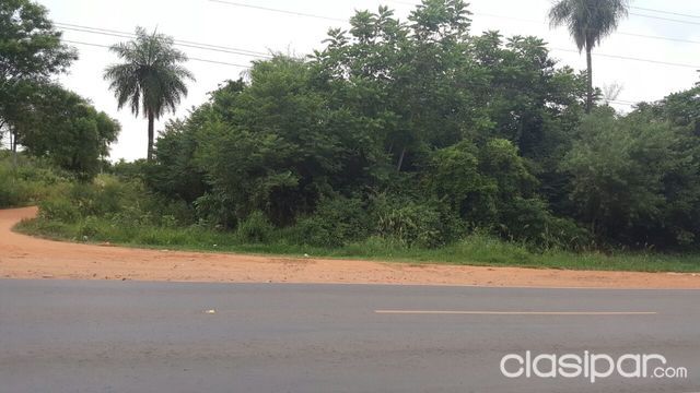 TERRENO LUQUE LIMPIO — foto 2
