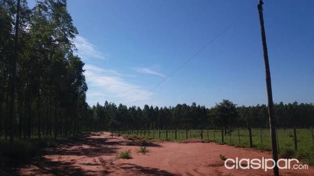 Propiedad en Venta — foto 3