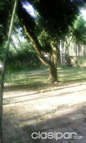 Vendo terreno en San bernardino — foto 2