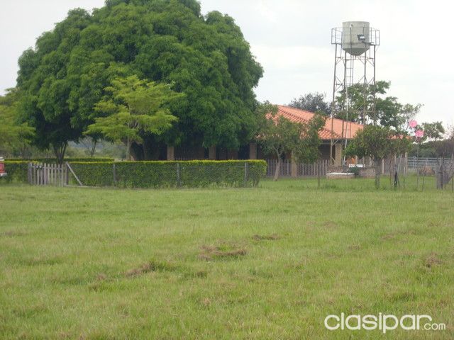 OFFERTA!!! VENDO LINDA PROPIEDAD DE 42 HAS En Colonia Hector. L VERA — foto 2