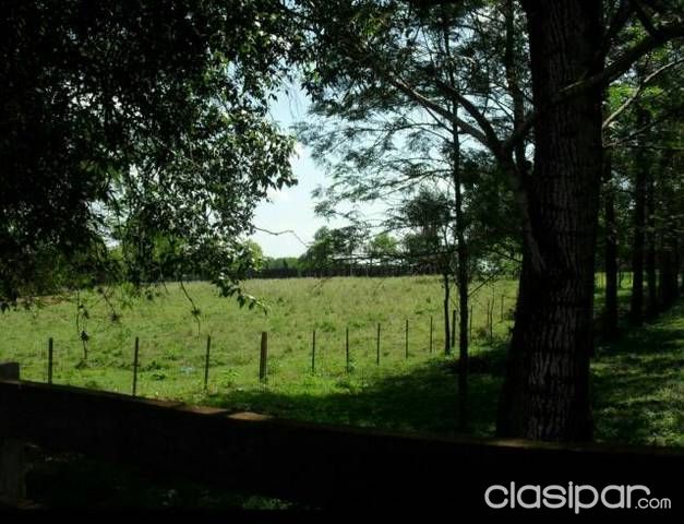 Cleto romero — foto 3