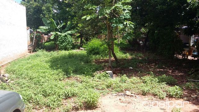 Terreno en barrio Molino - Luque — foto 2