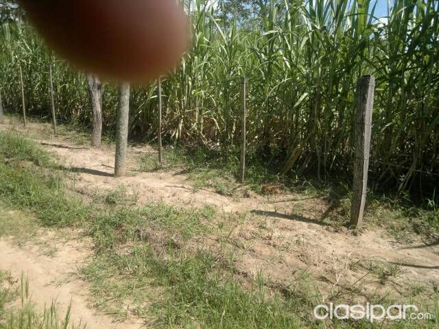 Vendo una Propiedad de 6 hectáreas en el departamento de Cordillera - Arroyos y Esteros — foto 2