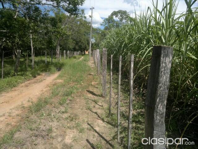 Vendo una Propiedad de 6 hectáreas en el departamento de Cordillera - Arroyos y Esteros — foto 3
