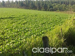 VENDO CASAS TERRENOS MANSIONES RESIDENCIAS CASAS DUPLEX Y PROPIEDAD RURALES PARA SOJA CAMPOS NATURALES PARA ESTANCIA EN PARAGUAY. — foto 3