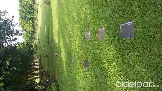 Oferta de terrenos en campo santo — foto 2