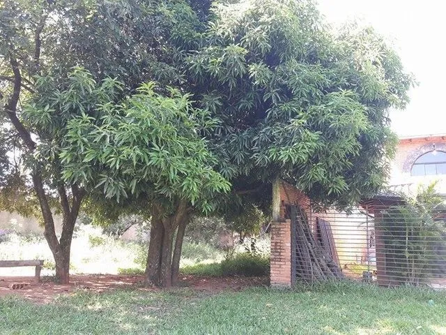 OFERTO LOTE DE CALLE A CALLE A 50 METROS DE AVNDA CAP. ANDRES INSFRAN.FINANCIO.- — foto 3