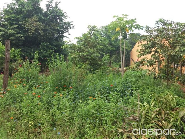 VENDO TERRENO BARRIO KENEDY — foto 2