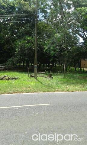 Terreno zona Nva colombia — foto 2
