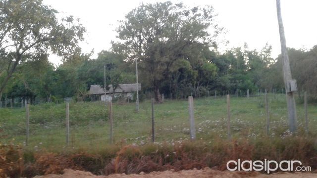 Vendo terreno de 3 Hectareas 400 mts!!! — foto 2
