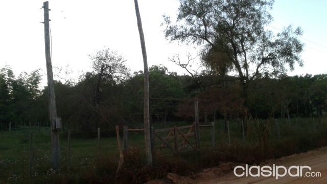 Vendo terreno de 3 Hectareas 400 mts!!! — foto 3