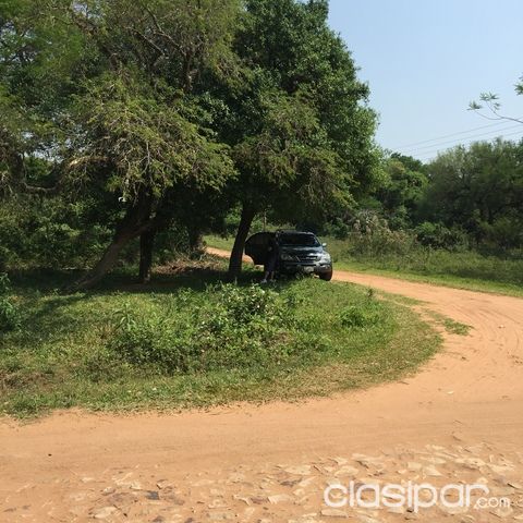 remato terreno en Isla Zarate - Luque- — foto 2