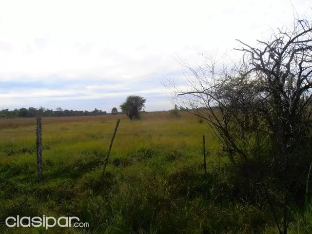 VENDO 40 HECTÁREAS EN PARAGUARI CERRO LEÓN — foto 2