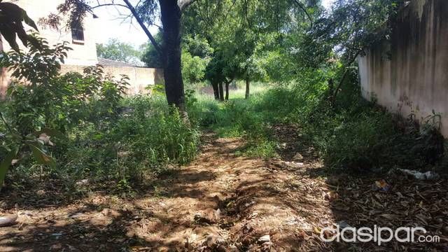 Oferto Unico Terreno A Mts Del Asfalto En Luque 4º Barrio — foto 2
