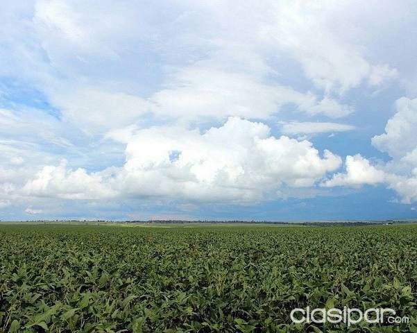 Propiedad Agricola — foto 2