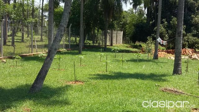 CANJEOVENDO — foto 2